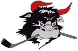 Rødovre_Mighty_Bulls_logo